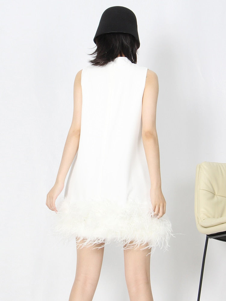 Feather Fur Sleeveless Loose Tassel Dresses